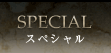 スペシャル(Special)