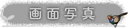 画面写真