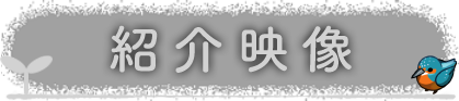 映像紹介