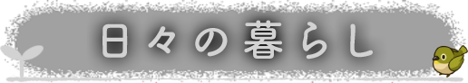 日々の暮らし