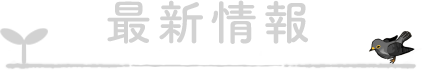 最新情報