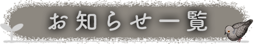 お知らせ一覧