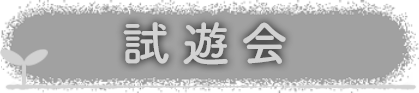 試遊会