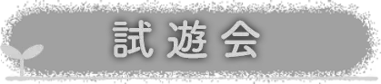 試遊会