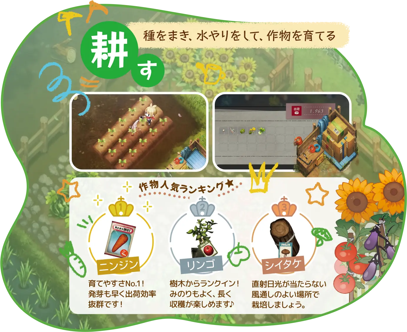 【耕す】種をまき、水やりをして、作物を育てる