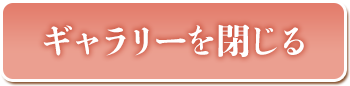 ギャラリーを閉じる