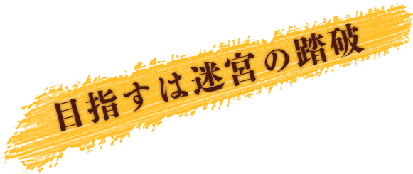 目指すは迷宮の踏破